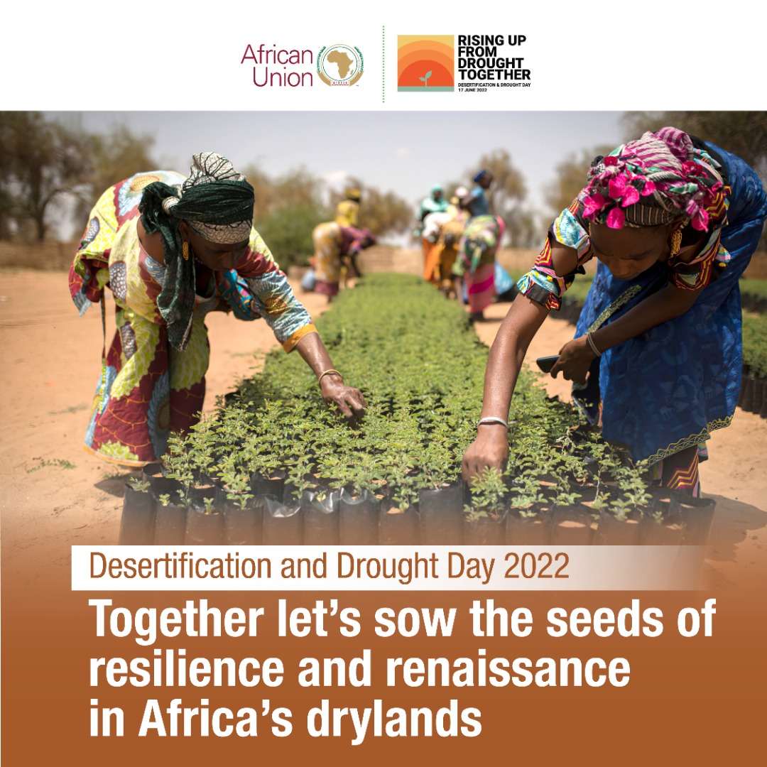 #DesertificationAndDroughtDay 

The question is where are we so far?