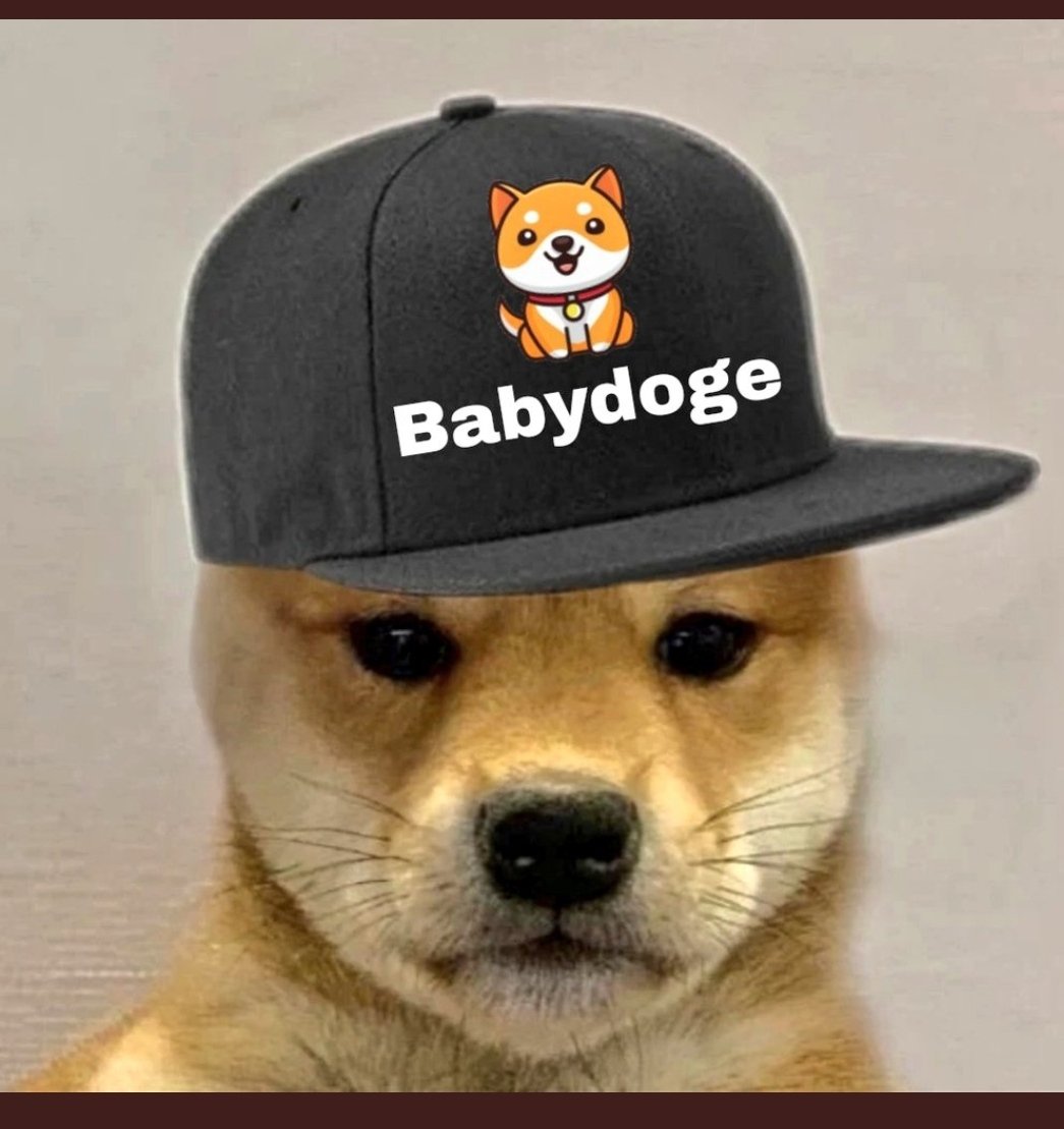 Solv_proctocol's tweet photo. #BabyDogeArmy let's drop your unique #BabyDoge poster below 👇 https://t.co/6B3F5gnN5N https://t.co/vSeaMILQwL
