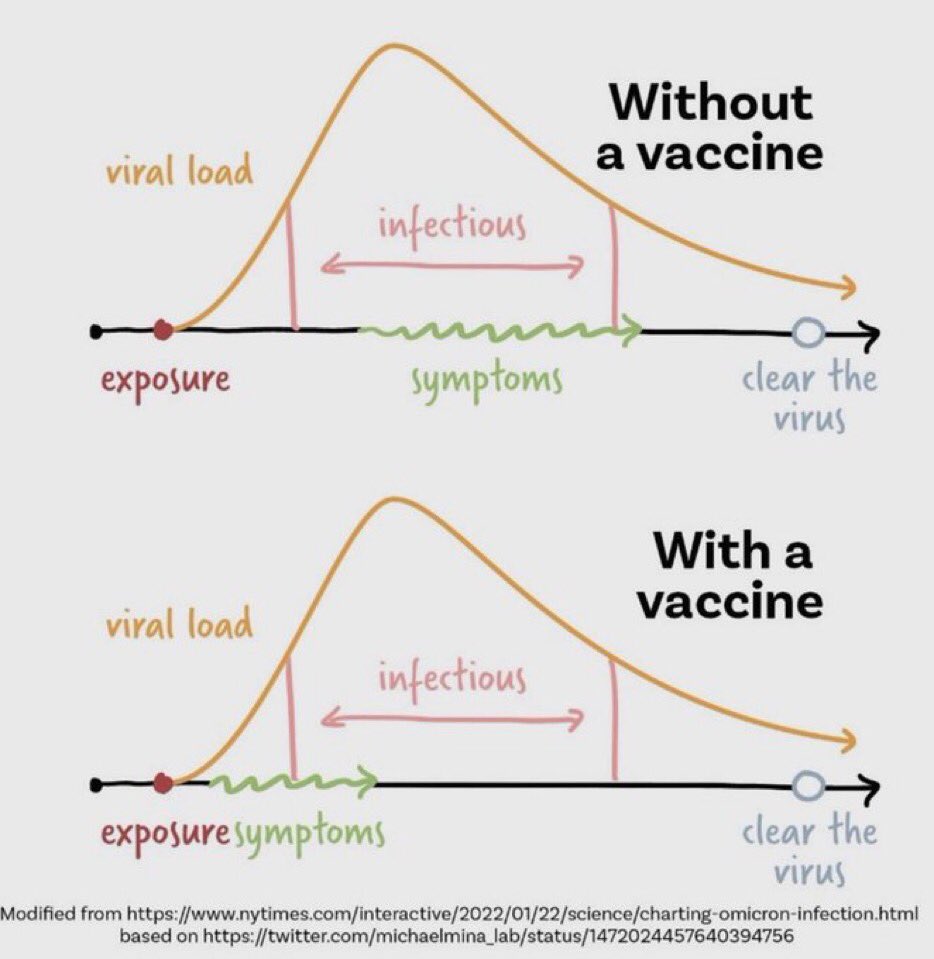 bhunni's tweet photo. @SaskiaPopescu Symptoms come on earlier if you have been vaccinated or exposed already. https://t.co/DILYsfwd8a