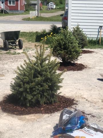 Jakeman All Grade tweet media