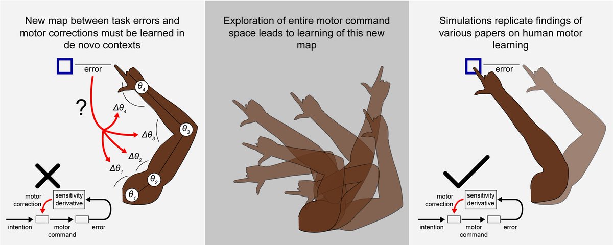 Our lab's newest paper was just published! (pre-proof) "Computational role of exploration noise in error-based de novo motor learning" doi.org/10.1016/j.neun… #motorlearning #openaccess
How can motor exploration noise be useful during error-based de novo motor learning? [1/12]