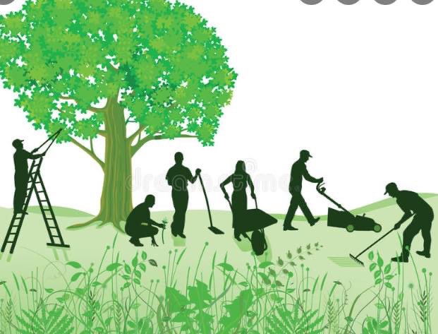 Jakeman All Grade tweet media