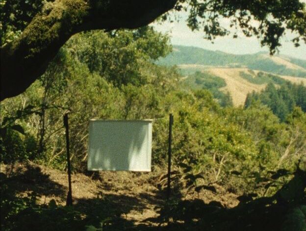 CFFBCN's tweet photo. i Hola! Hello!! Nos hemos mudado de Barcelona hace unos 7 meses. Estamos en el campo y soñamos de un cine en el bosque...A ver si nos dejan! https://t.co/JNWFbPwDI7