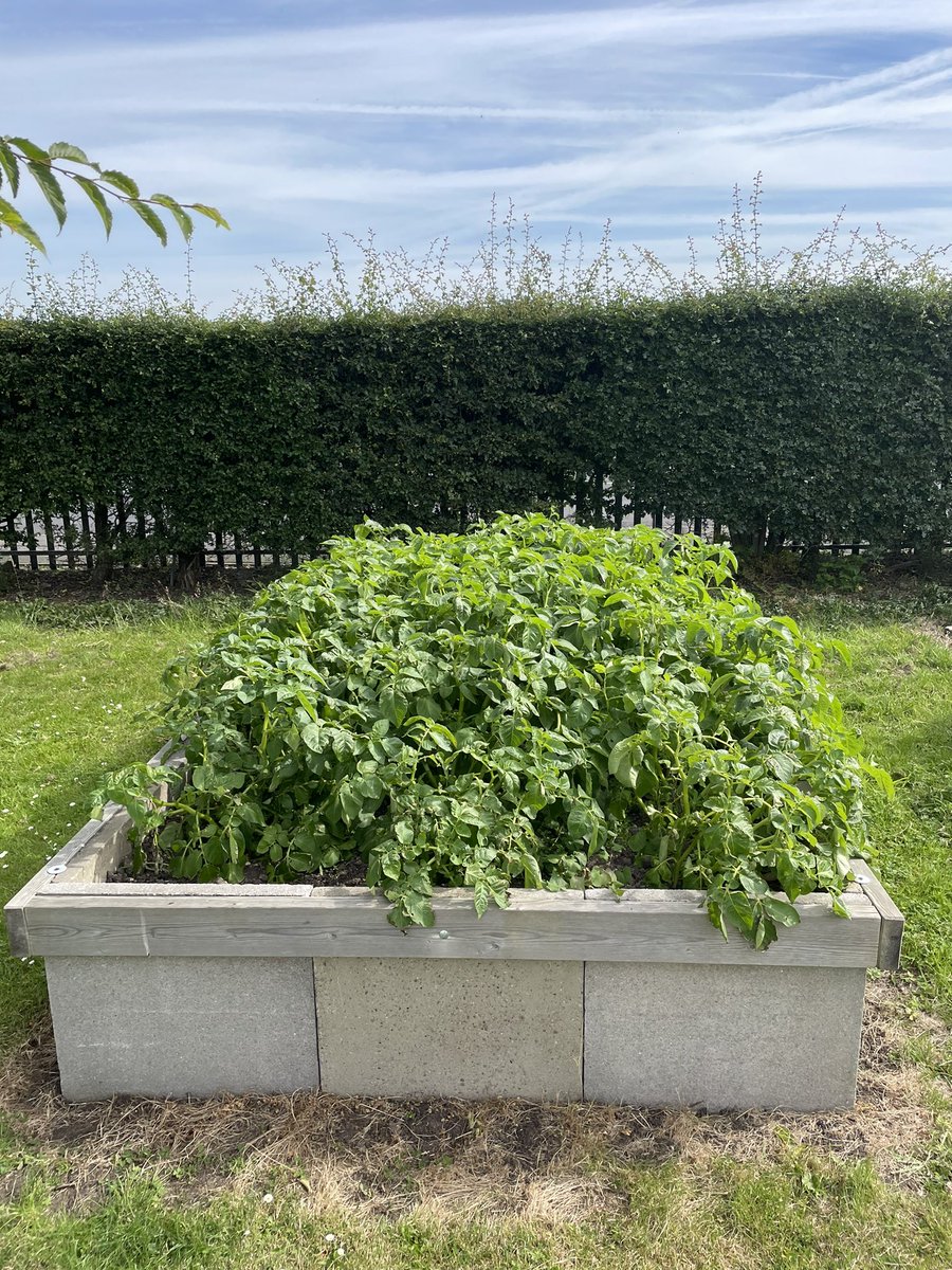 LydiateParishCouncil tweet media