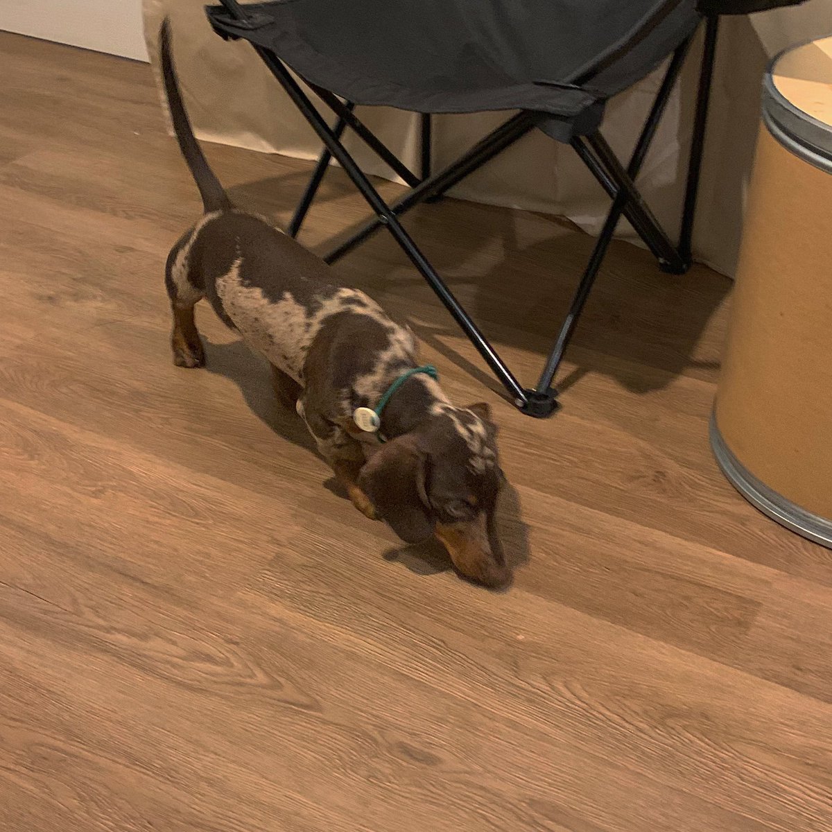 wanderlust tweet media