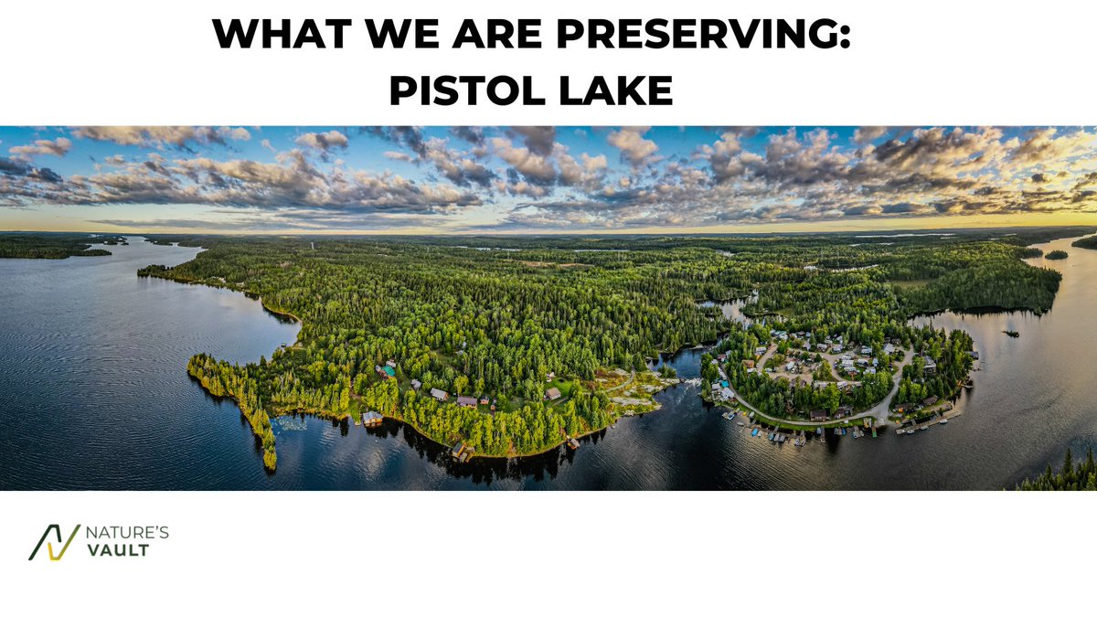 Vaulters, did you know that all the #gold in our gold deposit, Pistol Lake, is owned by #NaturesVault? We call this gold that we preserve in the ground #NaturesGold, and it's what backs the #LegacyToken. 

#Token #DigitalToken #ESG #SaveOurEarth #TheresNoPlanetB
