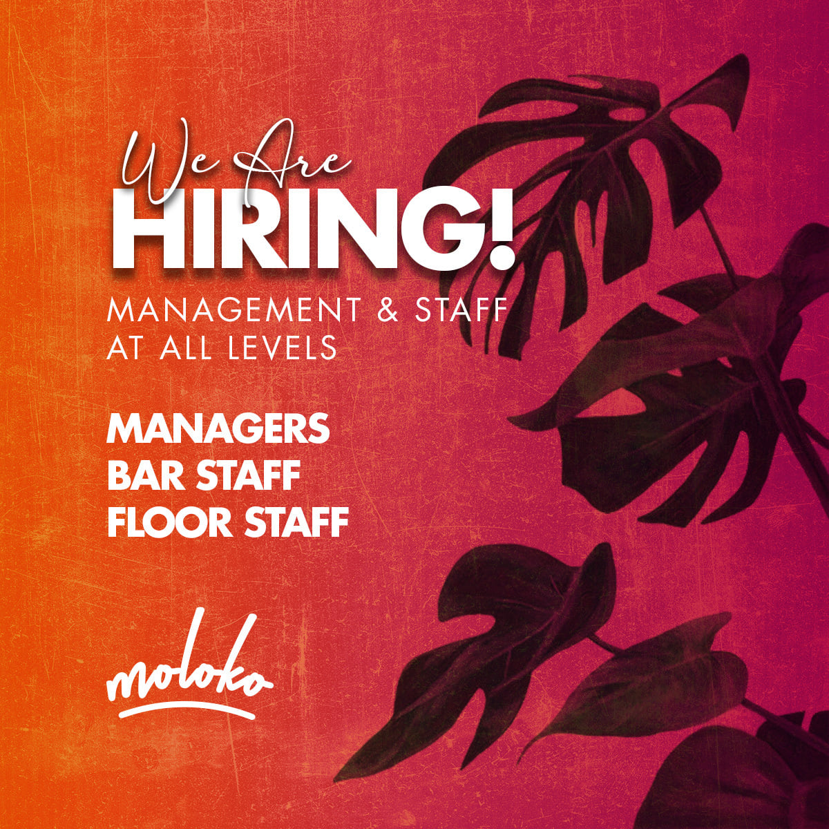 MolokoLiverpool's tweet photo. • WE ARE HIRING •

- Managers 
- Bar Staff 
- Floor Staff 

We're on the lookout for some friendly new faces to join our team! Email a copy of your cv over to 📧 moloko.liverpool@gmail.com https://t.co/B5KrnW1Lzk
