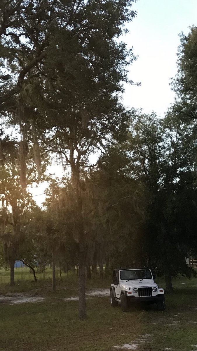 It’s a <a href="/Jeep/">Jeep</a> weekend somewhere in the world, get out there and find it! @JeepsnJams <a href="/cheech_tim/">Tim  Cheech</a> <a href="/1969redfairy3/">☀️ Babz Adventures☀️</a> <a href="/Scooby_Barkley/">🇺🇸 s̤a̤v̤.a̤g̤e̤ s̤c̤o̤o̤b̤s̤ 🇺🇸</a> <a href="/rpx53/">Rod O|||||||O</a> <a href="/29kyle29/">Kyle</a> <a href="/ddthundercat/">Marie S</a> <a href="/waltercwhite/">Walter Charles White</a> <a href="/bec6005/">Becki 👋</a> <a href="/becky2175/">Becky</a> <a href="/cookies1961/">Tina E 😎</a> <a href="/tj_raz/">TJRaz</a> @stang_michael <a href="/emssherill/">Sherill E. Howell</a> @wve1022 @srtenterprises <a href="/29kyle29/">Kyle</a>