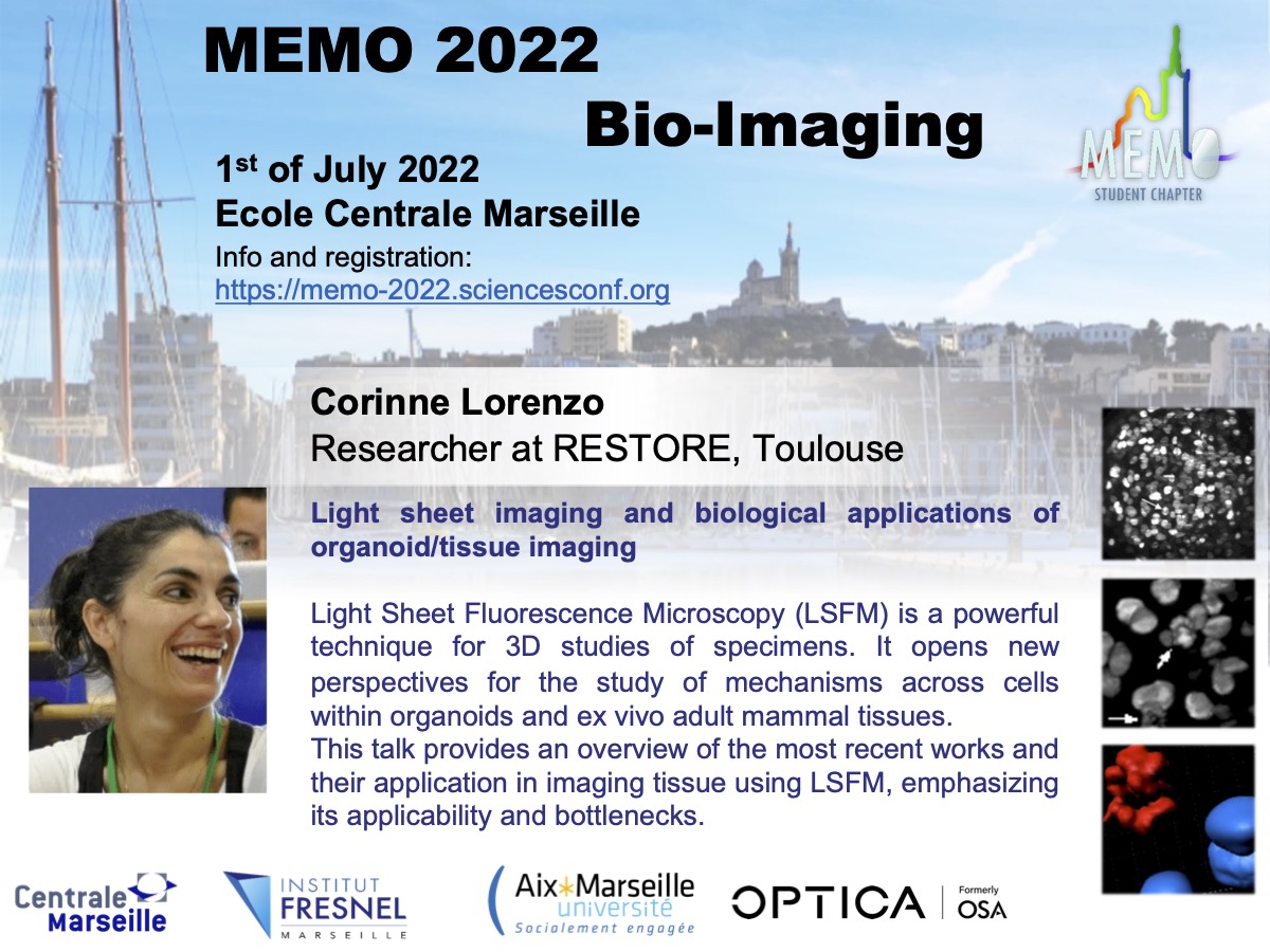 MEMO_Student_Chapter tweet media