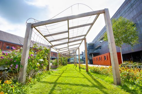 The_Waterfront's tweet photo. The GRAFT Garden at the National Waterfront Museum is a sustainable, organic growing environment "...about connections through team work &amp; friendship, giving with a happy heart, not for a moment or a season, but creating a legacy for the community." #MuseumWeek #EnvironmentalMW https://t.co/FcCHAVMyqU
