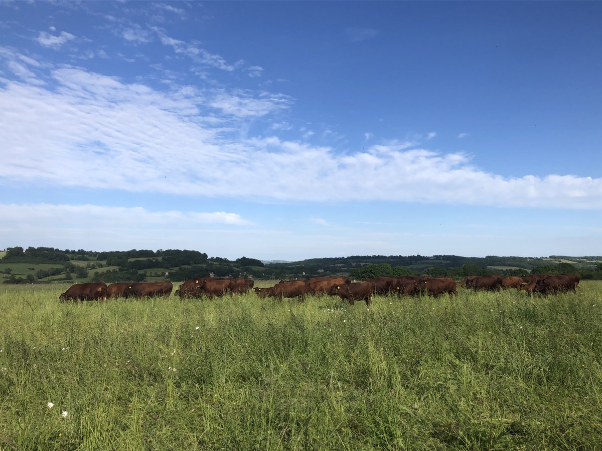 FAIfarms's tweet image. The FAI team have been out and about this week at @downtoearthuk_ and #FirFarm22 

Two energising gatherings discussing how #regenerativeagriculture and #naturebasedsolutions are an opportunity for so many of the challenges our food systems face