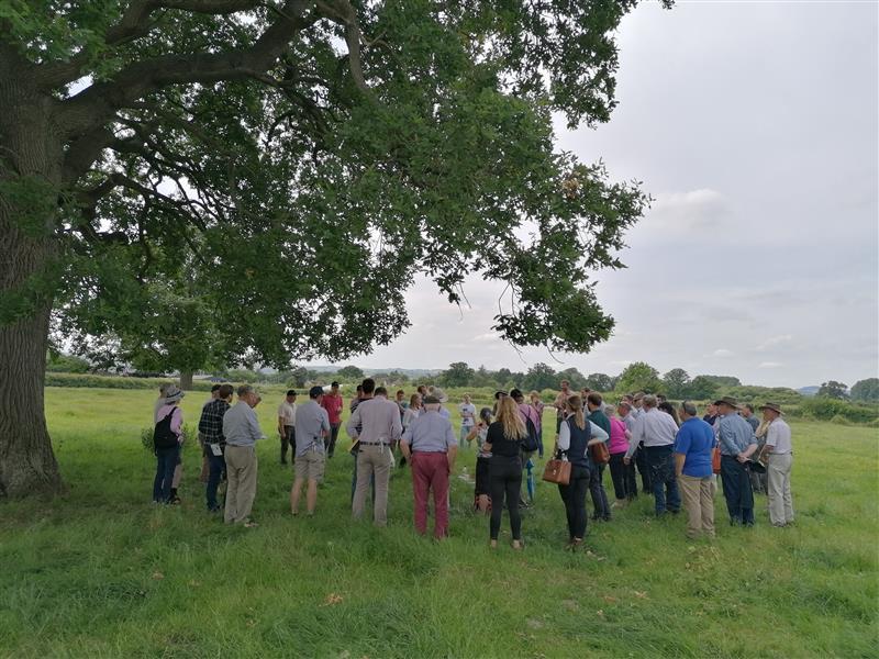 FAIfarms's tweet image. The FAI team have been out and about this week at @downtoearthuk_ and #FirFarm22 

Two energising gatherings discussing how #regenerativeagriculture and #naturebasedsolutions are an opportunity for so many of the challenges our food systems face