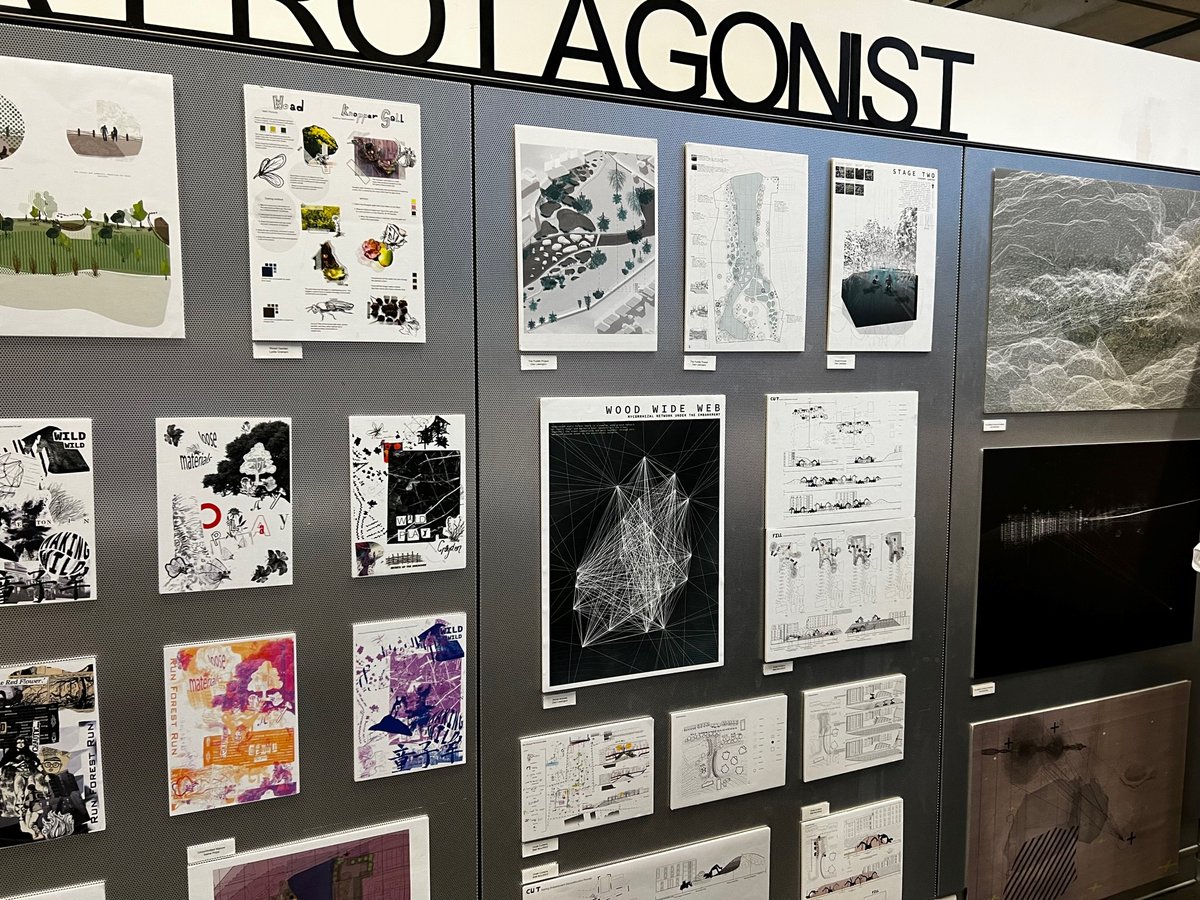 Hyland Edgar Driver tweet media