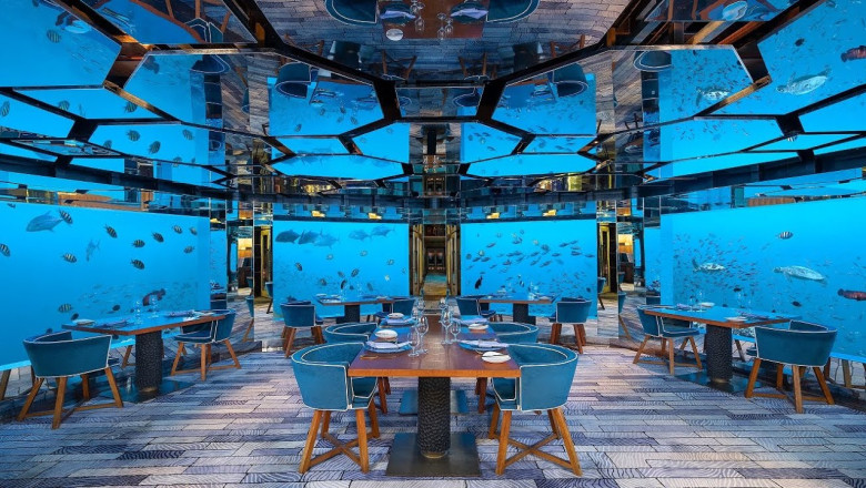NasreenDelta's tweet photo. an exceptional underwater restaurant located at Anantara Kihavah Maldives Villas. 
#love #maldives #travel #food #restaurant #underwater https://t.co/soCHOIHjnM