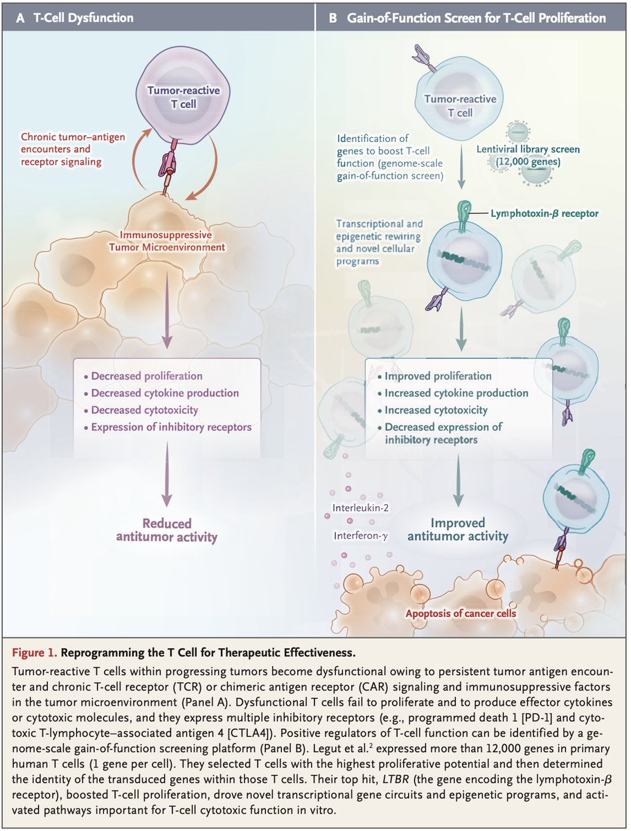 Neville Sanjana tweet media