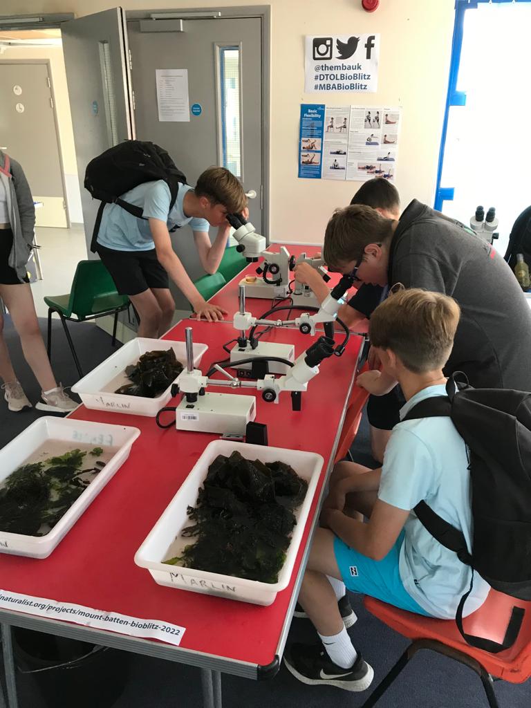 thembauk's tweet photo. Today's bioblitz is well underway!๐ฌ
The @darwintreelife team, Dave Conway and @Jackapod are helping this school group take a closer look at #seaweed and the animals that live in it ๐ฟ
#DToLBioblitz #MBABioblitz @MarClim_UK @joannaharleysci @KesellaNutella https://t.co/OFkJV9OX3r