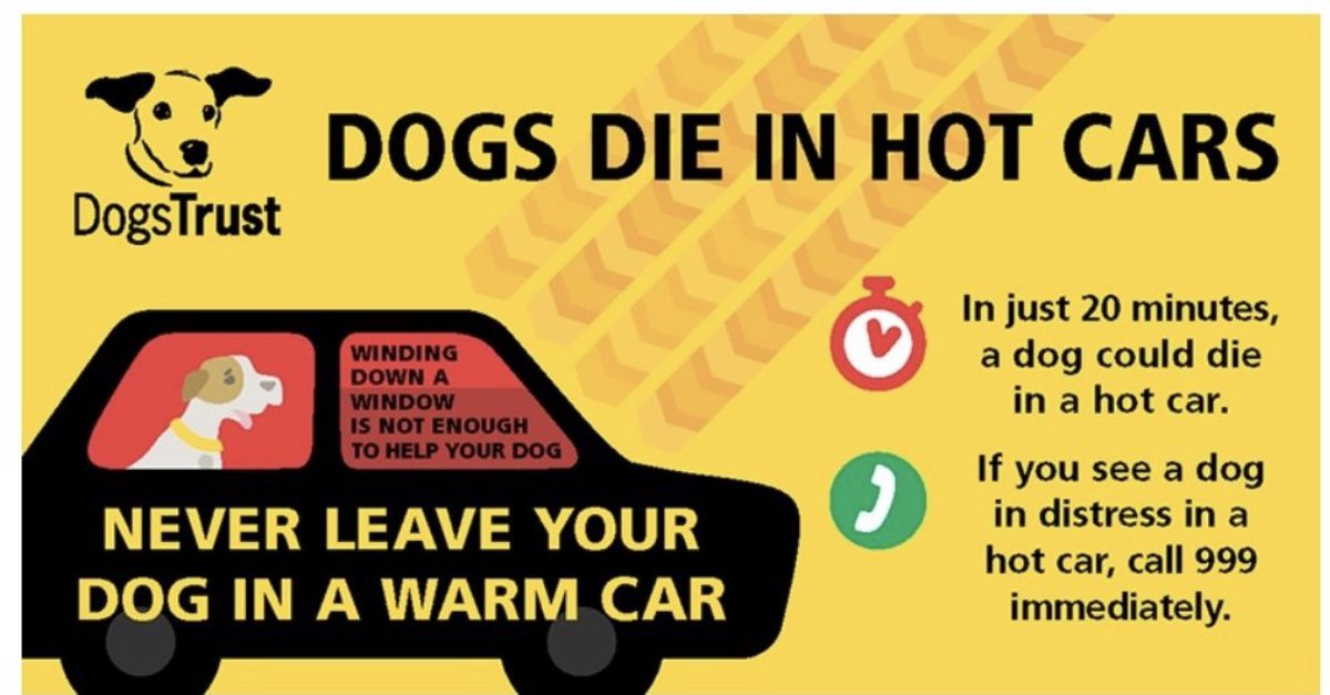 mcg_tara's tweet photo. #dogsTrust #Heatwave #heatwaveuk https://t.co/z8PZfdhPkw