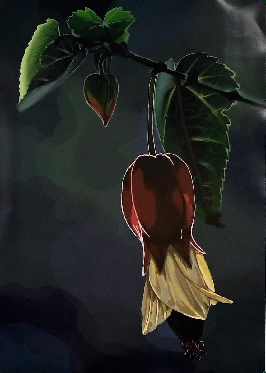 Shoebury_High's tweet image. The amazing artwork of our Year 13 students.Just a sneak preview of some of the work they will be on show in the SECAT Community Art Exhibition on the 15th July, 10am-4pm. @S_E_C_A_T @thorpedene_pri @RichmondPri @HinguarSchool @BournesGreenInf @BournesGreenJun #southend #shoebury