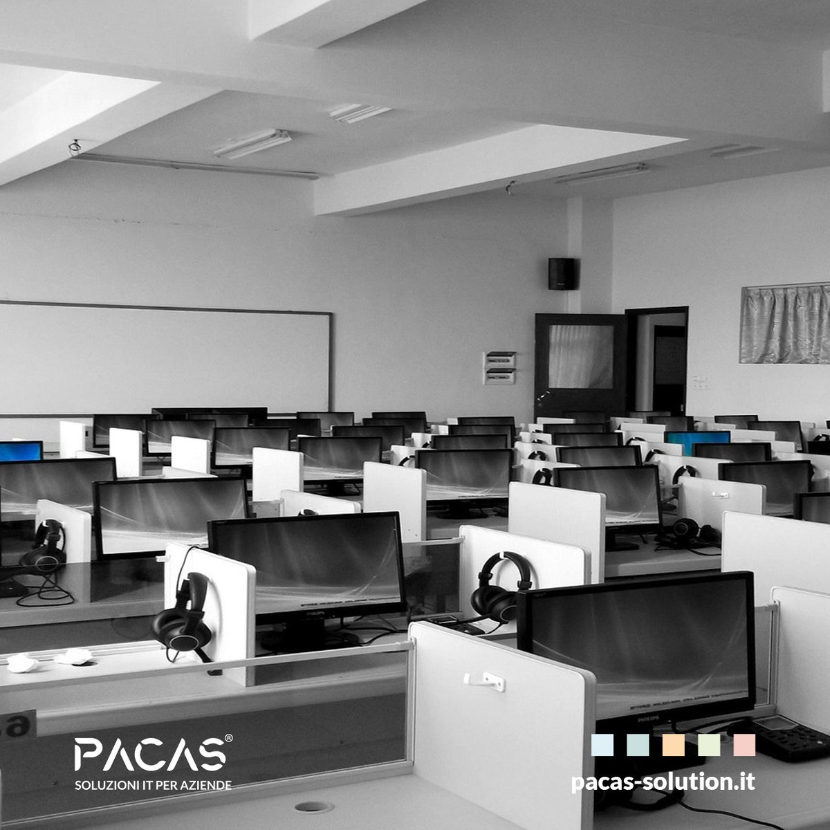 Pacas Solution tweet media