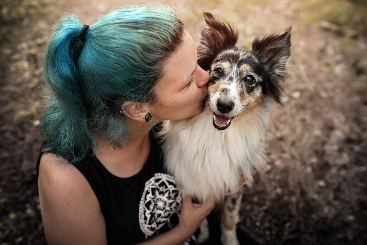 Twoforestpaws tweet media