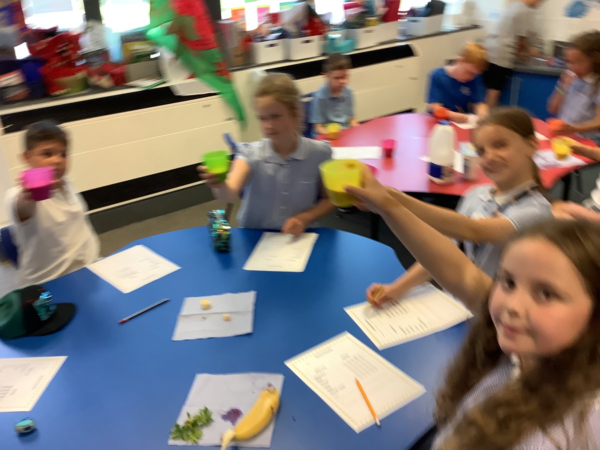 williamstown3_4's tweet photo. Year 4 making healthy smoothies! https://t.co/QH7XjcLLcG