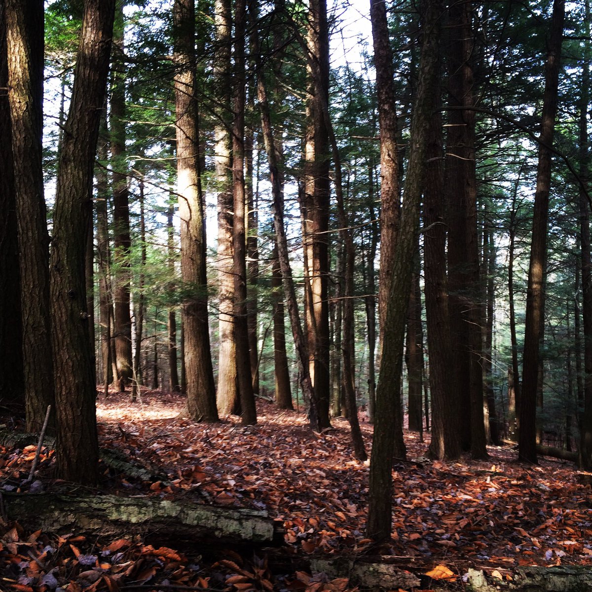 It’s the perfect weekend to explore the #RensselaerPlateau