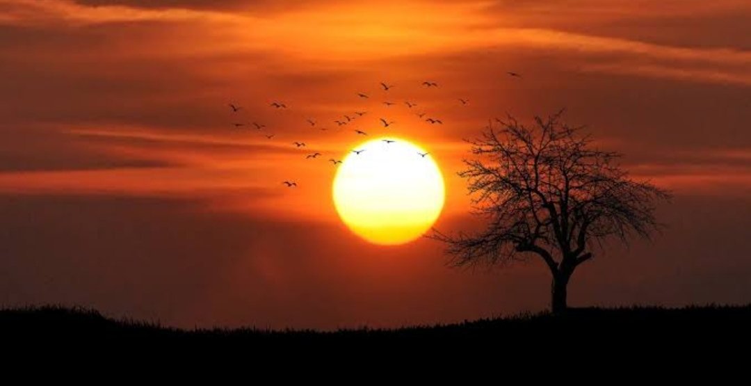 Sudahi sejenak aktivitas hari ini
Saatnya menyapa sang Ilahi dengan penuh suka cita

Selamat menjalankan ibadah Sholat Magrib untuk wilayah Cirebon dan sekitarnya

#MunajatCinta

"🤍"