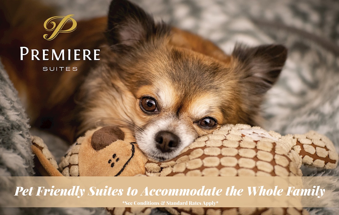 PremiereSuites's tweet photo. Thinking of traveling this summer, but worried about what to do with the family dog and cat? Hundreds of our furnished suites across Canada are pet friendly. https://t.co/hHcZeBcXzy
.
.
#travel #corporatetravel #familytravel #hotelalternative #servicedapartments https://t.co/j5E9HB4KFB