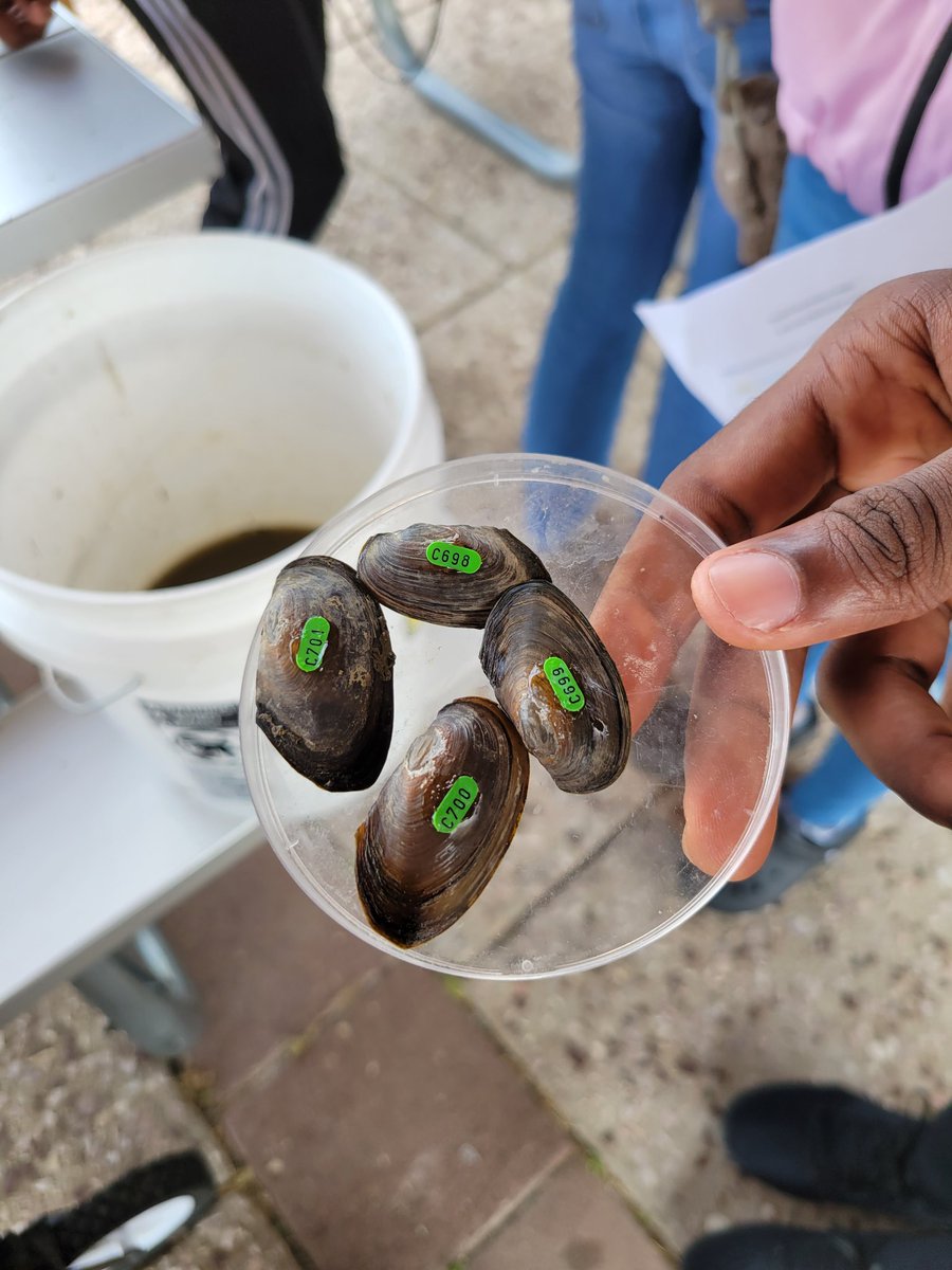 gwynnparkffa tweet media