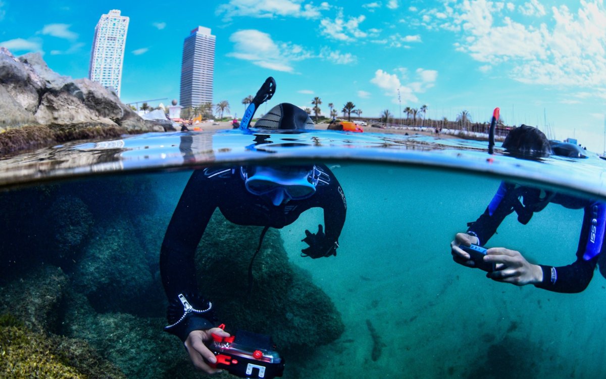 ICMCSIC's tweet photo. 🐙 Sense plans per al cap de setmana? Apunta't a les activitats de la #BioMARató i aprèn a identificar les espècies de les platges de Barcelona!

✔️Converteix-te en científic/a per un dia i contribueix a conèixer millor el litoral català!

🔗https://t.co/h04un9gAgh https://t.co/J8c4fOClEW