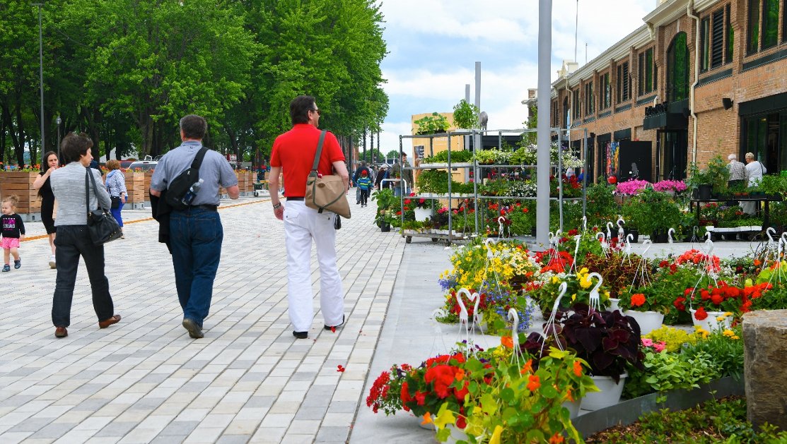 Manger des insectes, c’est quoi le buzz ? Assistez à la conférence de l’étudiante Laurence Auger de l’@Université Laval à 11h30 pour le découvrir !

Rendez-vous au @GrandMarcheQuebec!

tinyurl.com/2p9bjyvc