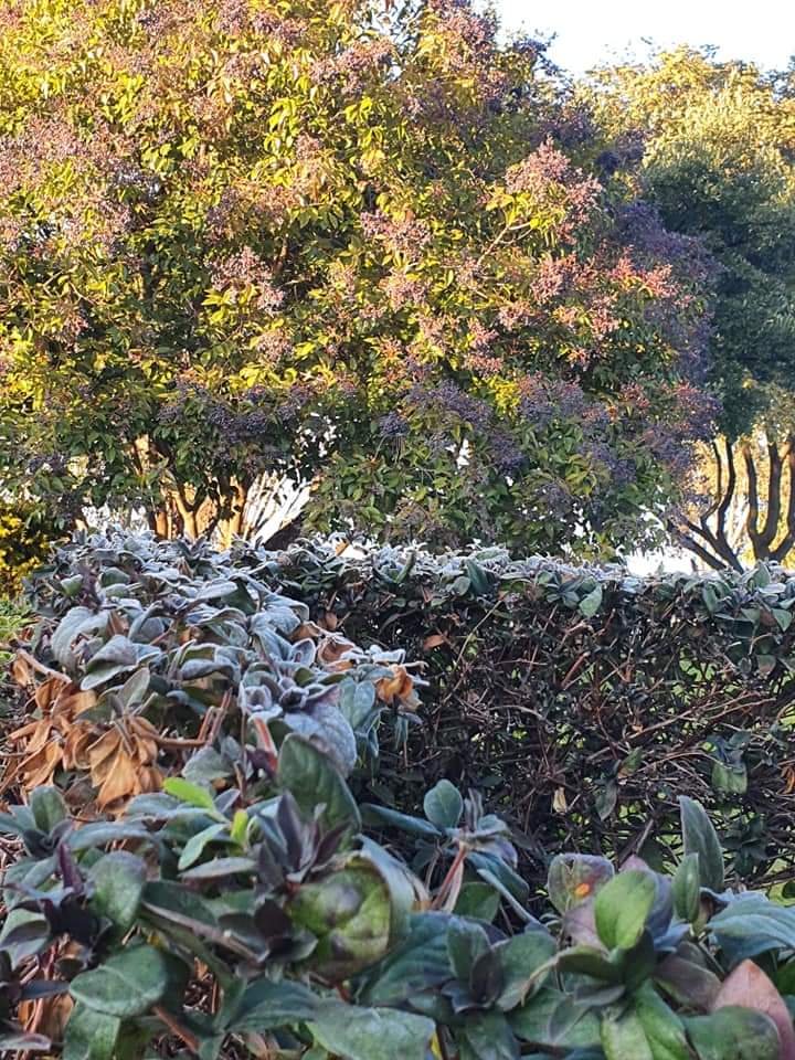 ReenvalSA tweet media