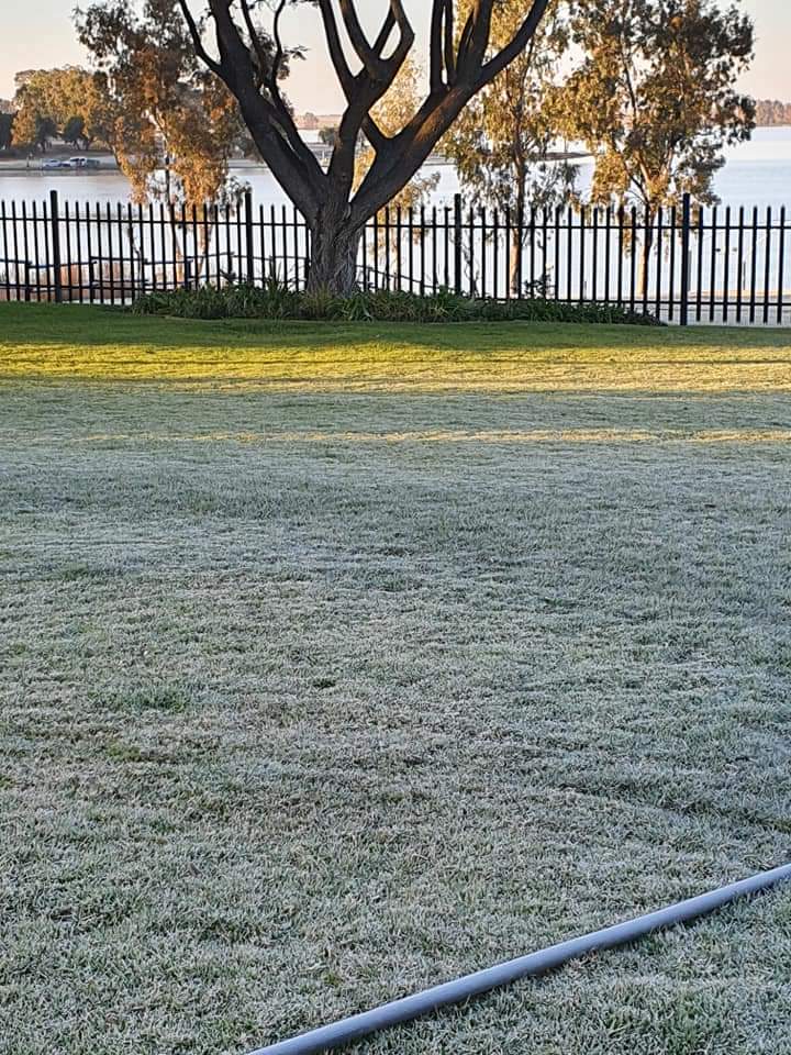 ReenvalSA tweet media