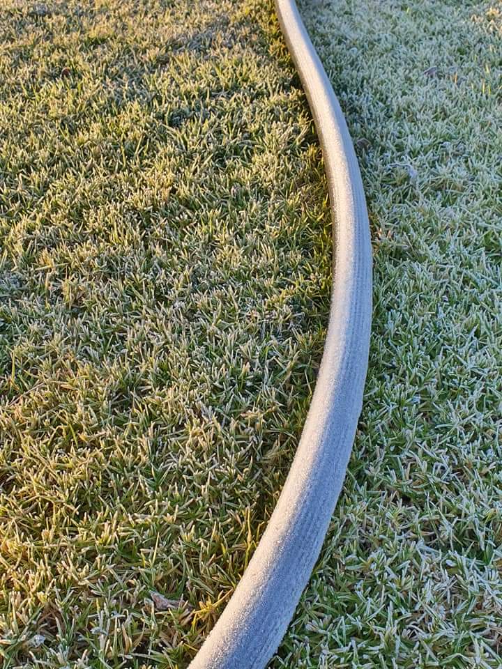 ReenvalSA tweet media