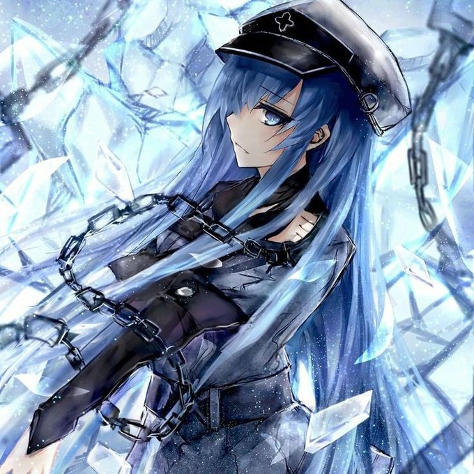 Yu Arisato on X: Esdeath 💙 Anime: Akame ga Kill!   / X