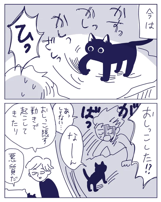2/2 