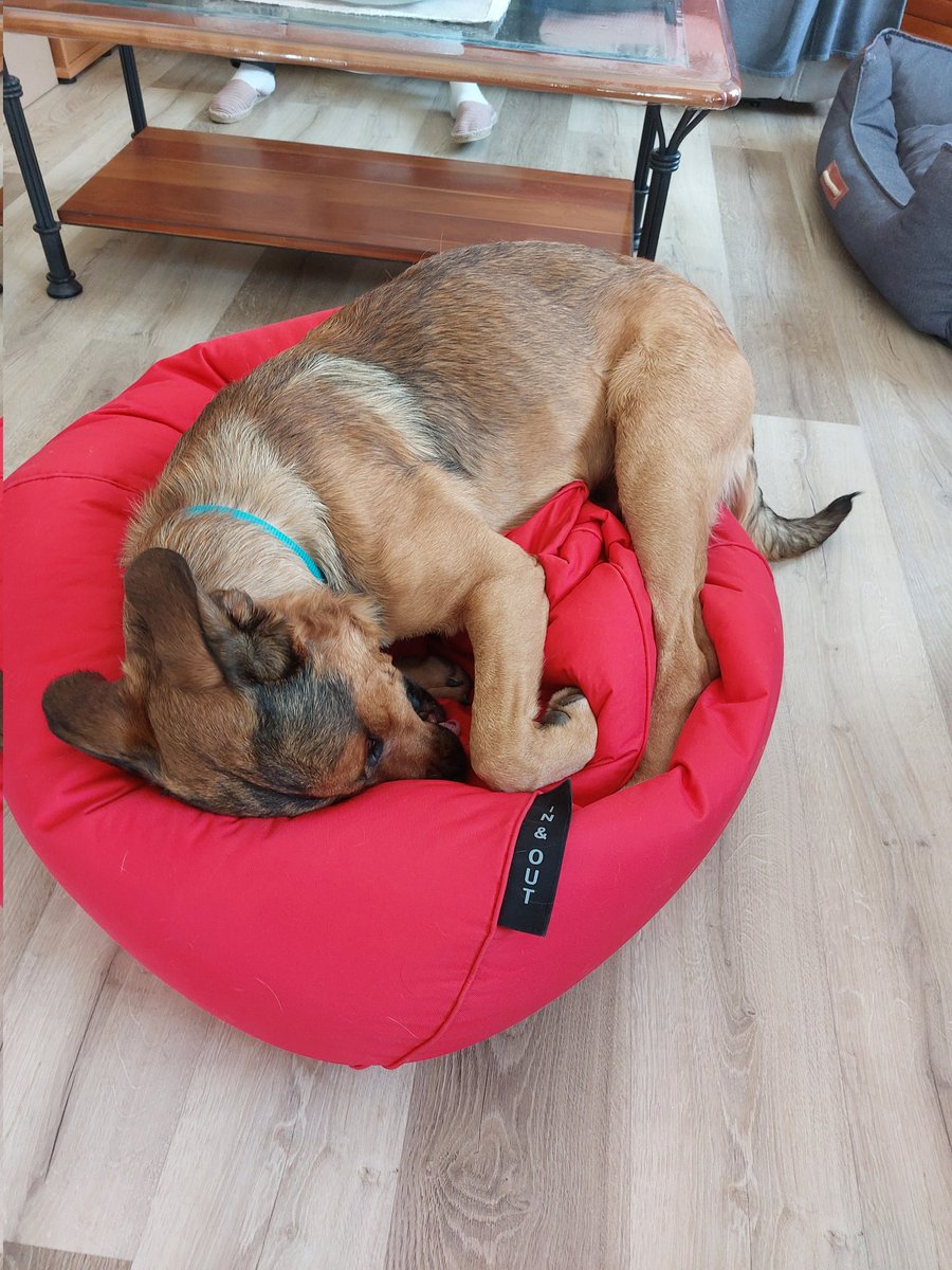 Shen Minar tweet media