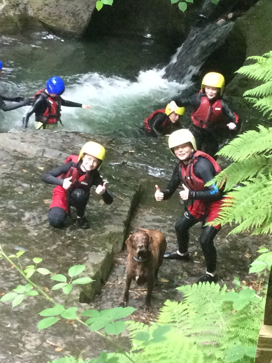 OLWPrimary tweet media