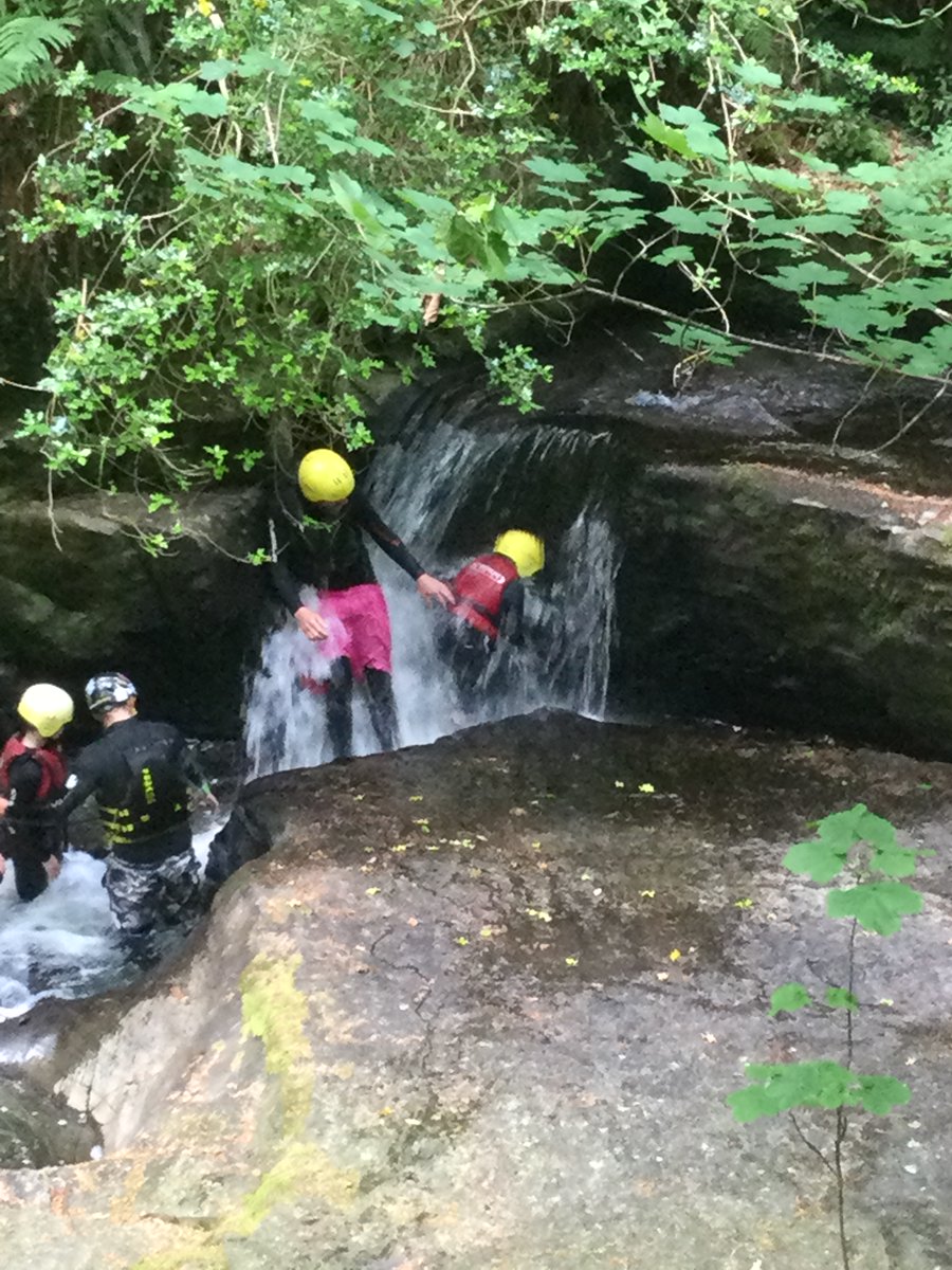 OLWPrimary tweet media