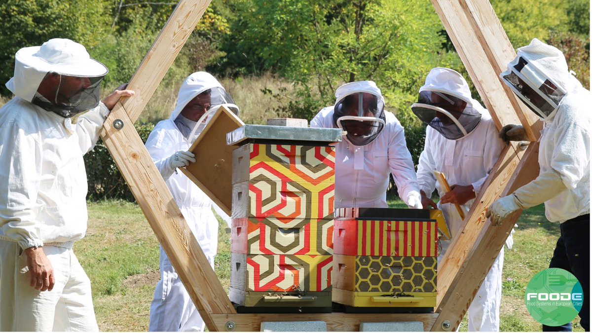 🎉Visit The Honey Cell Project
🗓30 May – 5 July 2022
📍Cankarjev dom (Ljubljana, Slovenia)

The Urban Beekeepers 🐝 Association of Ljubljana 🇸🇮involves prisoners from the Igo Prison🏢 in the urban #beekeeping process.

More information➡️ bit.ly/3OtBLXR 
#FoodE