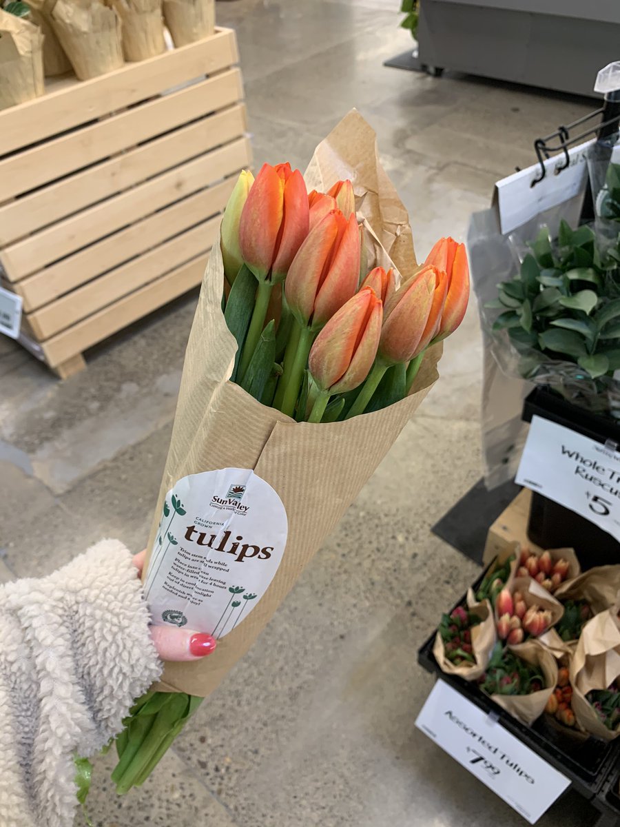 n3tsai1_n3tsai's tweet photo. #pdxsummer 🌷 https://t.co/lkeYqxnKfc