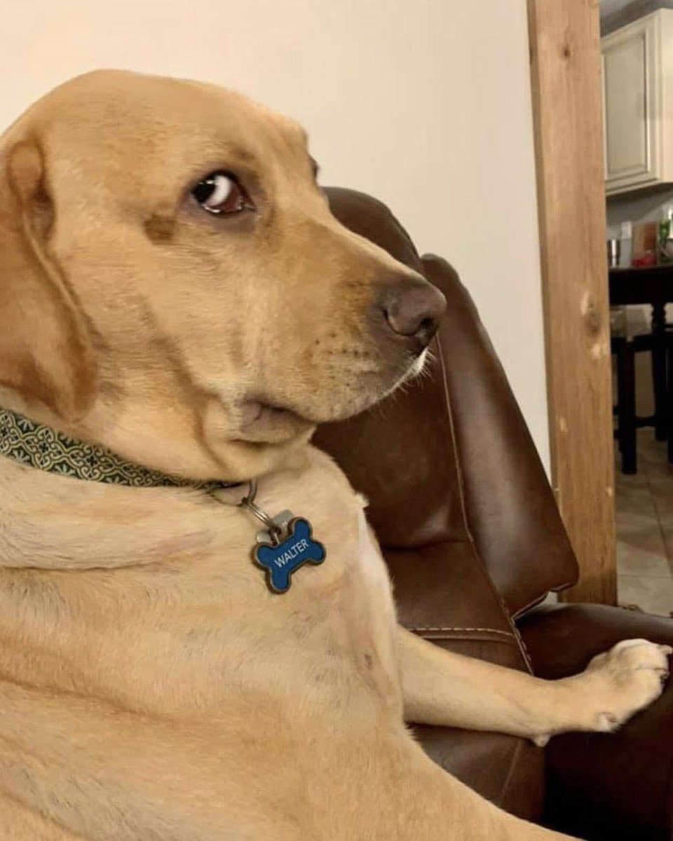 Cuando el pana compra pasteles y tú no tienes plata...