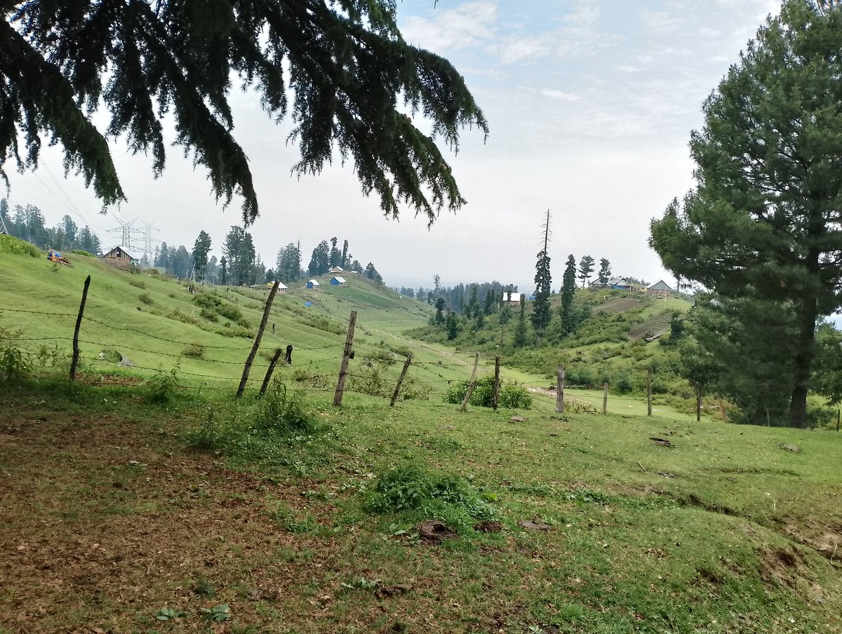 Choudharyabaziz's tweet photo. Beautiful glimpses constituency?
Nillownalli under jurisdiction Devpora pyt. halqa Pyt. halqa Herpora and some parts of Pyt halqa Chotipora ,Nalla Rambi Arra and some other parts also part of my DDC constituency Shopian.
#Missiondevelopment.
@OmarAbdullah @nasirsogami @dmshopian https://t.co/ui2DYe6ZKU