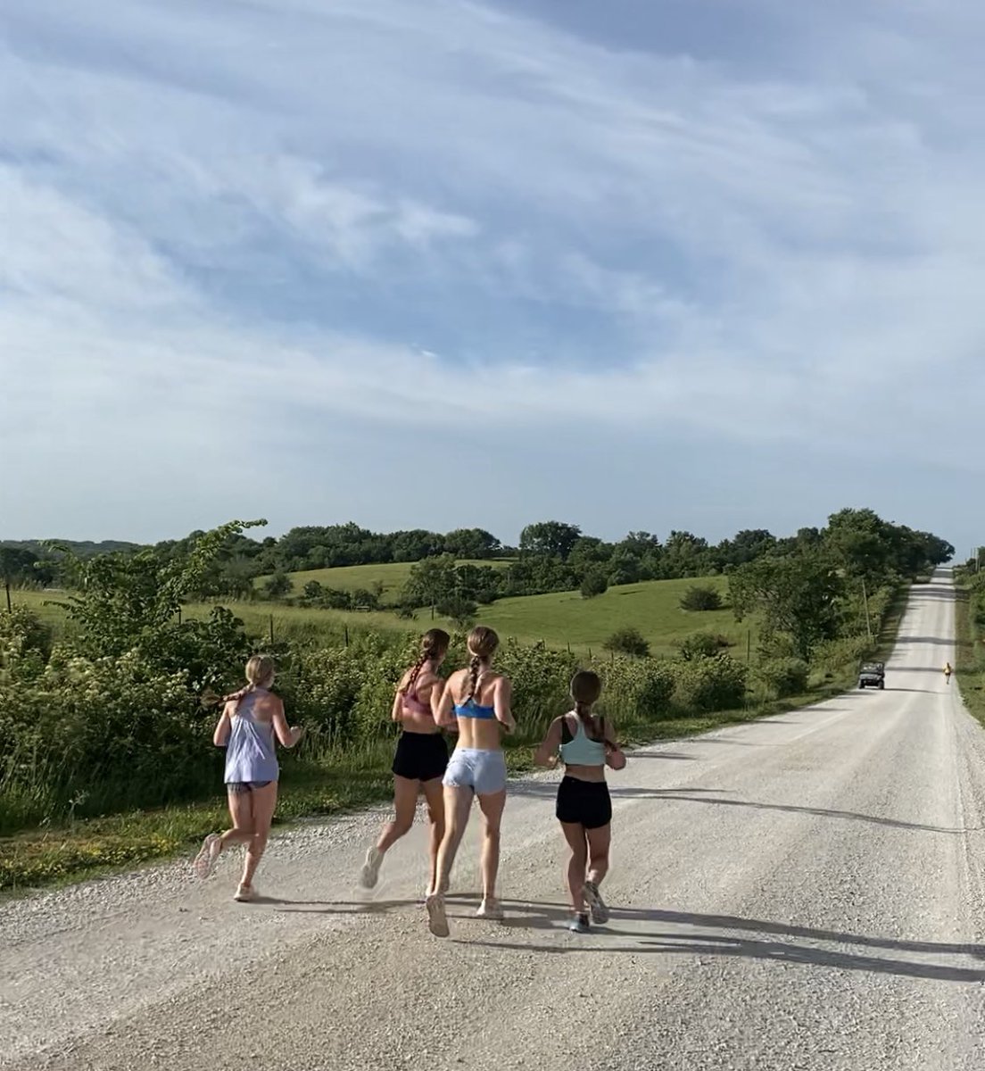 Dowling Girls XC tweet media