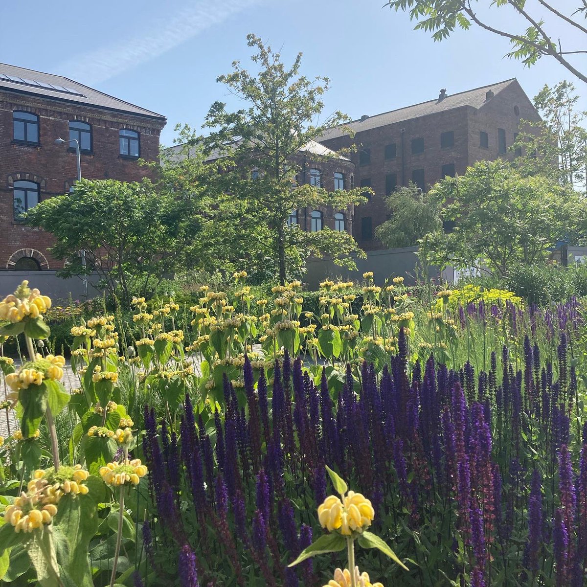 A very special day in West Yorkshire, remembering and celebrating a beautiful person and amazing friend to so many who did so much to protect, champion and help nature to thrive, including founding <a href="/bee_collective/">Bee Collective</a> 🐝🐝🐝
Rest in peace, Caroline. We will never forget you ❤️