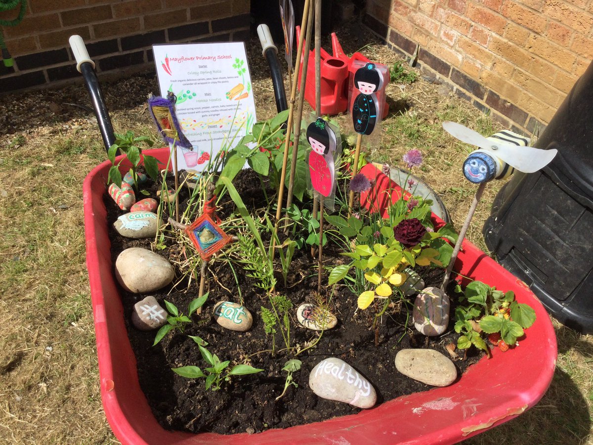 MayflowerPSch's tweet photo. The school garden was looking beautiful, thanks to the hard work of the children AND Miss Patel and Mrs Mohamed!
Thank you π
#GrowYourGrub
#ForkToFork
#OutdoorLearning
#LearningInNature
ππΌππΌππΌ https://t.co/WEjgpOhTq1
