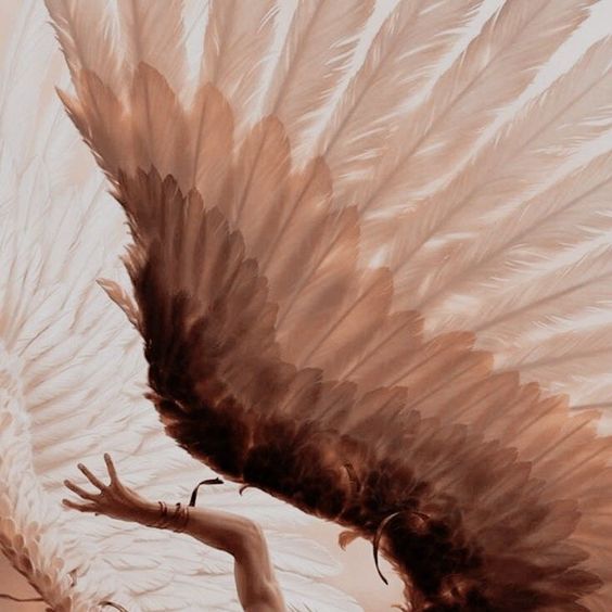 NOSTOS - VIII - A King's Duty

𝘞𝘦 𝘰𝘯𝘭𝘺 𝘧𝘭𝘺 𝘸𝘩𝘦𝘯 𝘧𝘢𝘭𝘭𝘪𝘯𝘨.

Read: twitlonger.com/show/n_1ss2dn0