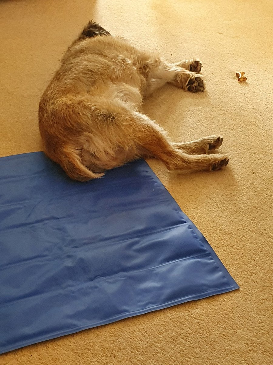 BorderRo's tweet image. My day so far #takingiteasy