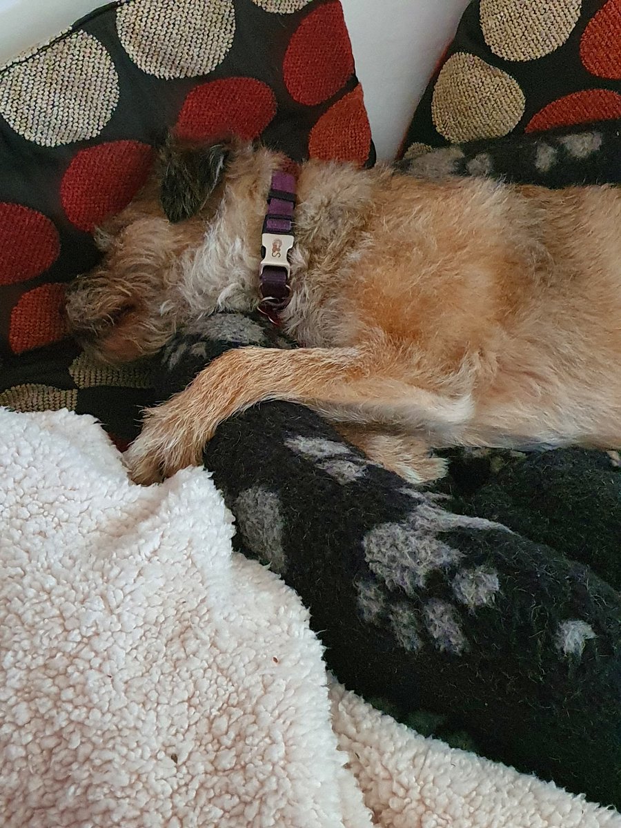 BorderRo's tweet image. My day so far #takingiteasy