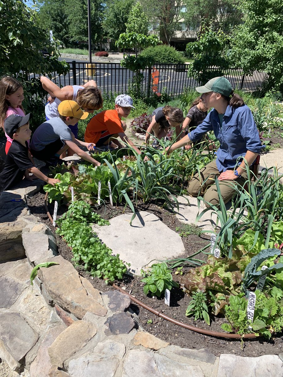 Maria Grable tweet media